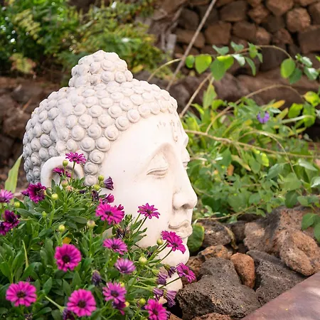 Nyaraló 7lemonshouse Lajares