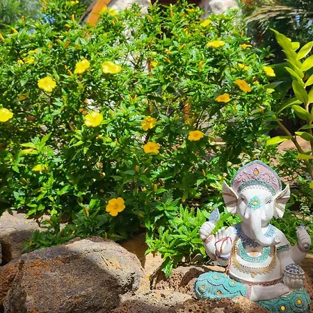 Prázdninový dům 7lemonshouse Lajares