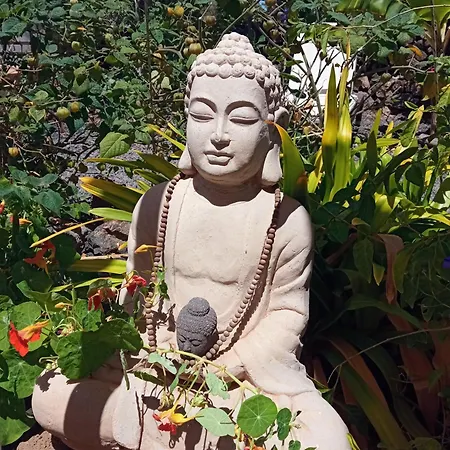 Prázdninový dům 7lemonshouse